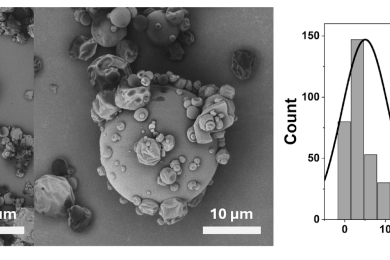 Bioactive phenolic compounds from rambutan (<span style="font-style:italic;">Nephelium lappaceum </span>L.) shell: Encapsulation, structural stability, and multifunctional activities