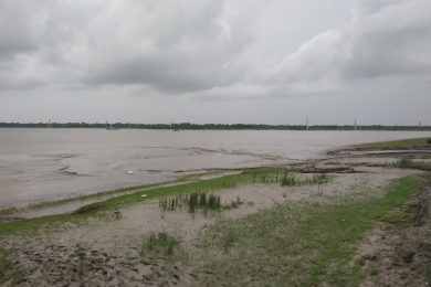 Coconut farms in Bicol suffered most damage after Uwan onslaught