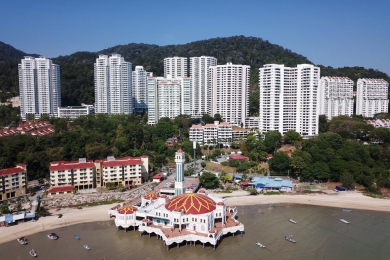 Pineapples in the city: Penang pilots urban farming for food security