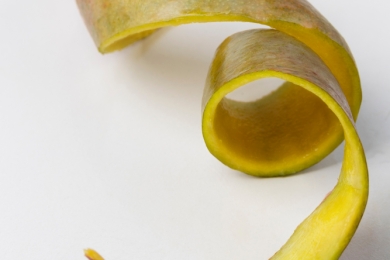 ORSL wins global grant for breakthrough mango waste bioeconomy project