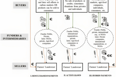 Incentive mechanisms of carbon farming contracts: A systematic mapping study