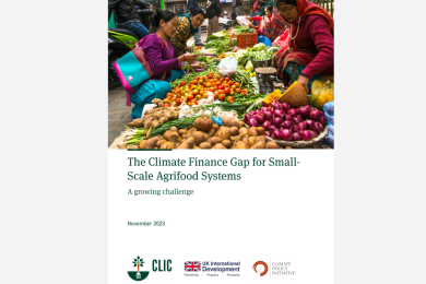The Climate Finance Gap for Small-Scale Agrifood Systems