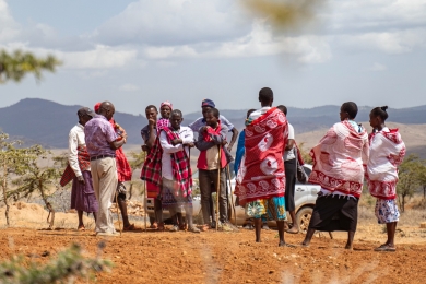 Healthy nature for better food systems: UN awards new World Restoration Flagships