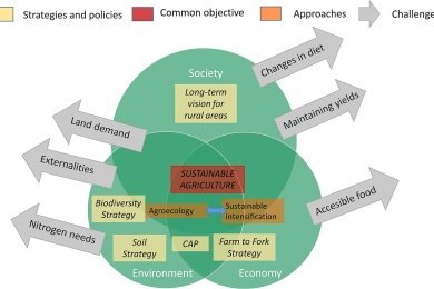 Challenges and potential pathways towards sustainable agriculture within the European Green Deal