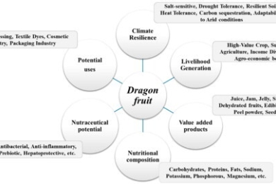 Dragon fruit (<span style="font-style:italic;">Hylocereus</span> spp.) as a potential crop for nutraceutical properties, livelihood enhancement and climate change mitigation