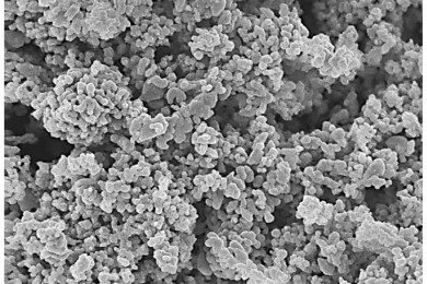 Green synthesis and characterization of copper oxide nanoparticles from durian (<span style="font-style:italic;">Durio zibethinus</span>) husk for environmental applications