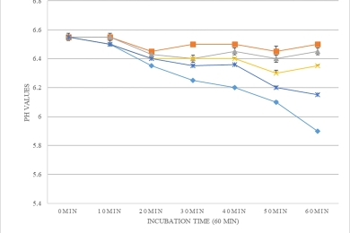 Potential of methanol extracts of <span style="font-style:italic;">Nephelium lappaceum </span>(Sapindaceae) and <span style="font-style:italic;">Hyphaene thebaica </span>(Arecaceae) as adjuvants to enhance the efficacy of antibiotics against critical class priority bacteria