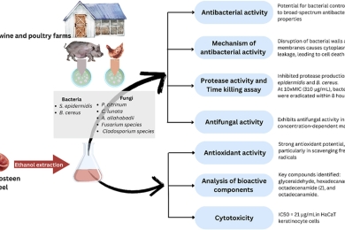 Antimicrobial efficacy of mangosteen (<span style="font-style:italic;">Garcinia mangostana</span>) peel extracts in airborne microbial control within livestock farming environments