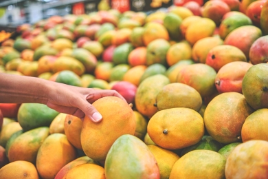 Mango exporters overwhelmingly back National Mango Board with highest approval rate in 20 years