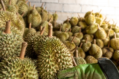 Laos opens Chinese market to longan, durian exports