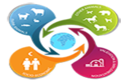 The 12th European Conference on Precision Livestock Farming (ECPLF 2026)