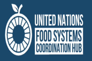 UN Food Systems Coordination Hub