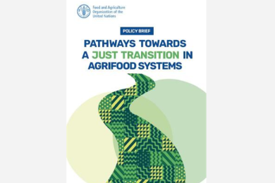 Pathways towards a Just Transition in Agrifood Systems: Policy Brief