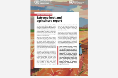 Extreme Heat and Agriculture Report