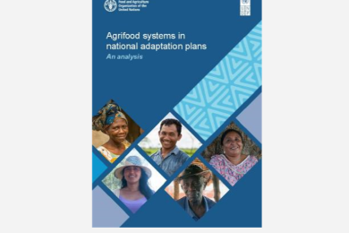 Agrifood Systems in National Adaptation Plans: An Analysis