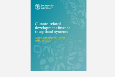 Climate-related Development Finance to Agrifood Systems – Global and Regional Trends