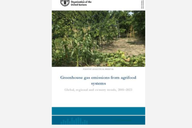 Greenhouse Gas Emissions from Agrifood Systems – Global, Regional and Country Trends, 2001–2023
