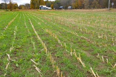 How can we tell if climate-smart agriculture stores carbon?