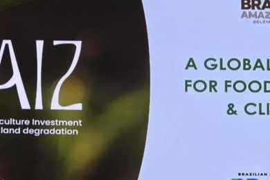 COP30: Eight countries support RAIZ, Brazil’s finance accelerator to scale farmland restoration