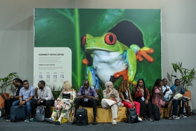 COP30: Key outcomes for food, forests, land and nature at the UN climate talks in Belém