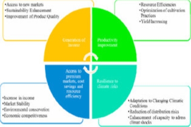 Recent climate-smart innovations in agrifood to enhance producer incomes through sustainable solutions