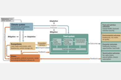 Climate change and the urgency to transform food systems