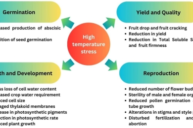 Climate change as an existential threat to tropical fruit crop production—A review