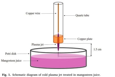 Investigating effects of air-cold plasma jet on enzymatic activity and nutritional quality attributes of Mangosteen (<span style="font-style:italic;"Garcinia mangostana </span>L.) juice