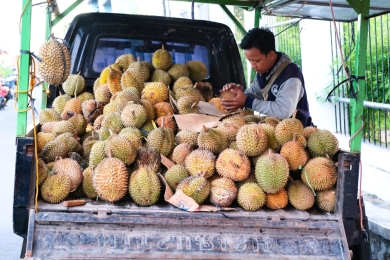Fama ready to buy excess durian amid surplus