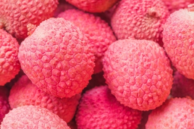 Rain-hit orchards still producing 'best quality' lychees in time for Christmas