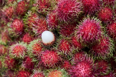 Rambutan absent at the end of the year, IPB University tropical fruit expert reveals the reason