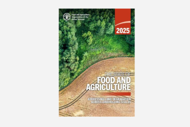 The State of Food and Agriculture 2025 – Addressing Land Degradation Across Landholding Scales