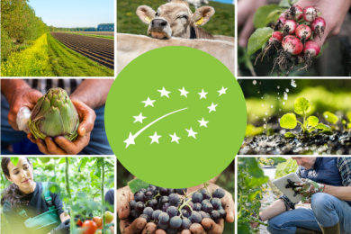 Organic rulebook fit for the future