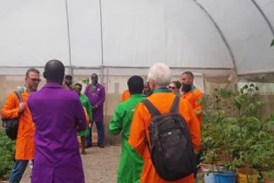 Mainstreaming on-farm verification in CGIAR breeding