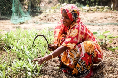 FAO-led projects to make agriculture resilient and sustainable in support of 1 million people