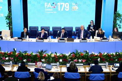 Four key pathways to transform agrifood systems and promote global food security