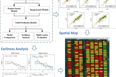 Yield prediction through UAV-based multispectral imaging and deep learning in rice breeding trials