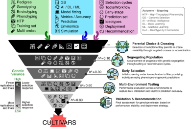 Prediction-based breeding: Modern tools to optimize and reshape programs