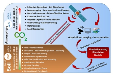Impact of agricultural management practices on soil carbon sequestration and its monitoring through simulation models and remote sensing techniques: A review