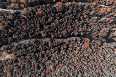 Tailoring Australian carbon farming can realise greater co-benefits