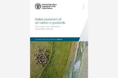 Global Assessment of Soil Carbon in Grasslands: From Current Stock Estimates to Sequestration Potential