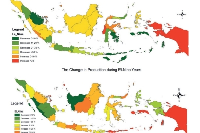 Quantifying the effect of ENSO on mangosteen yield using multi-year data in Indonesia