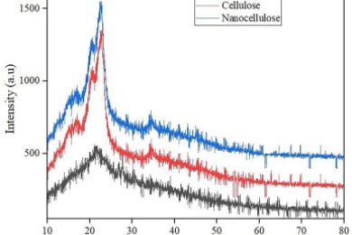 Experimental design and optimization of process parameters for nanocellulose extraction from pineapple leaves using central composite design