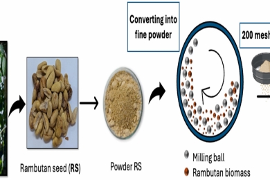 Characterization and pyrolysis kinetic modelling of lignocellulosic waste from rambutan seeds: A machine learning approach