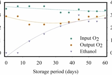 Anaerobic compensation point can effectively extend ‘Palmer’ mango shelf-life in CA storage