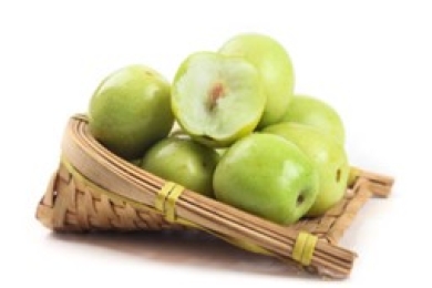 Tainan mayor taps Malaysia networks for fruit exports