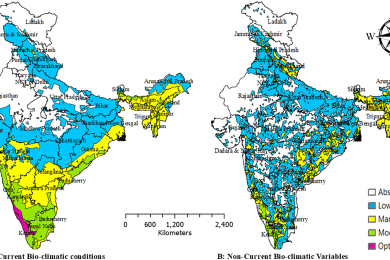 Climate-driven shifts in avocado suitability zones in India: Insights from ensemble modelling and niche hypervolume