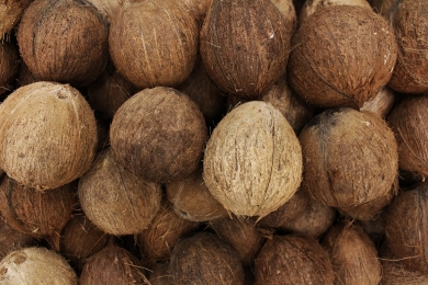Desiccated coconuts: processing costs are rising
