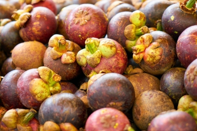 Subang cooperative exports mangosteen to China with state funding support