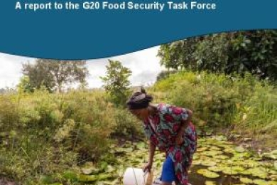 Policies to Promote Food Security, Sustainability and Resilience: The Role of Agrifood Systems Approaches